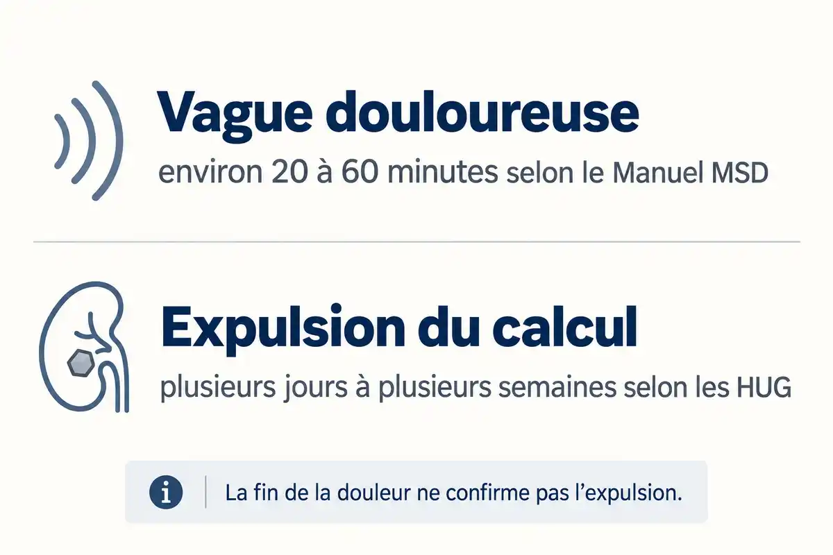 Une vague douloureuse peut durer 20 à 60 minutes, tandis que l’expulsion du calcul prend plusieurs jours à plusieurs semaines ; l’accalmie ne la confirme pas.
